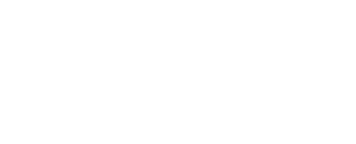 Ali Seo Services